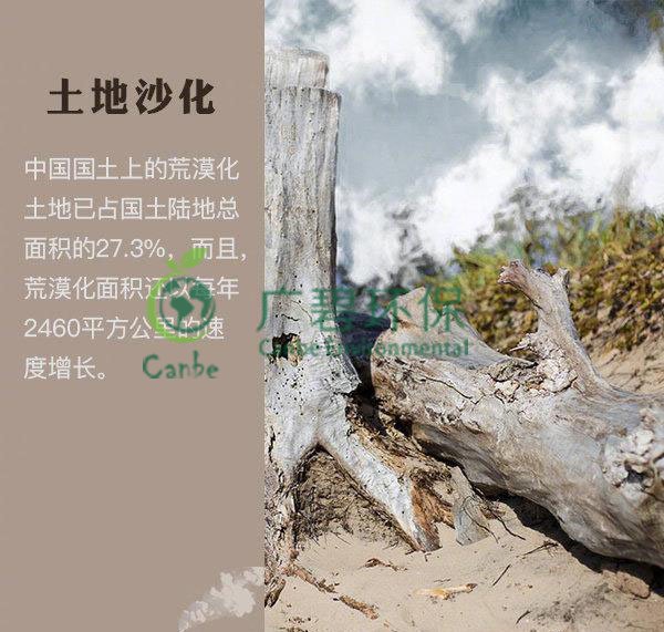 世界地球日 我們能為地球做些什么？(圖4)