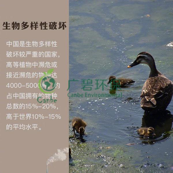 世界地球日 我們能為地球做些什么？(圖6)
