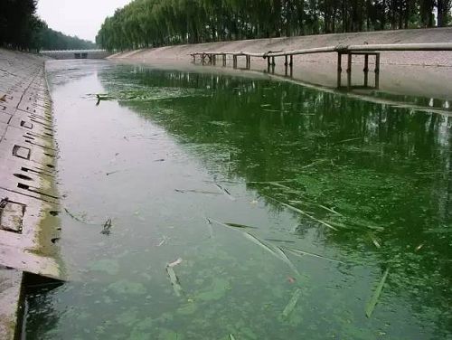 城市黑臭河道如何治理？河道黑臭水體治理思路(圖1)