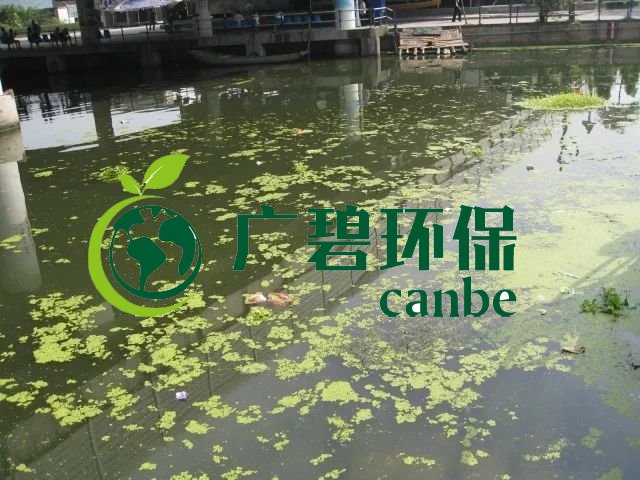 城市黑臭河道如何治理？河道黑臭水體治理思路(圖3)