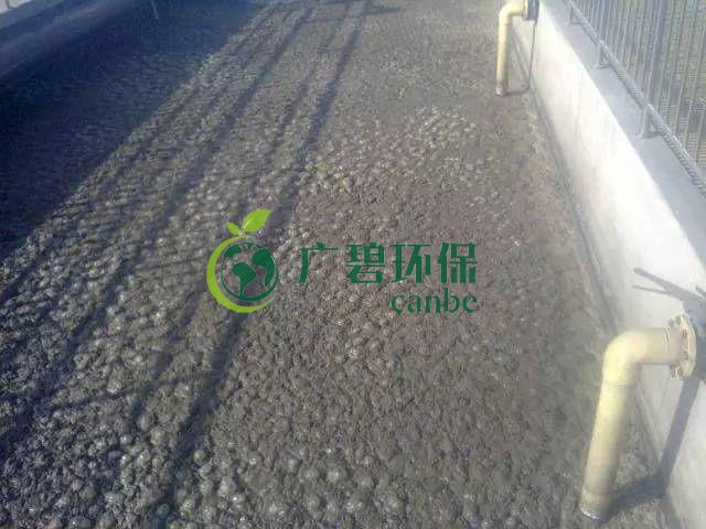 污泥發(fā)黑是什么原因造成？污泥發(fā)黑經(jīng)驗(yàn)分享(圖1)