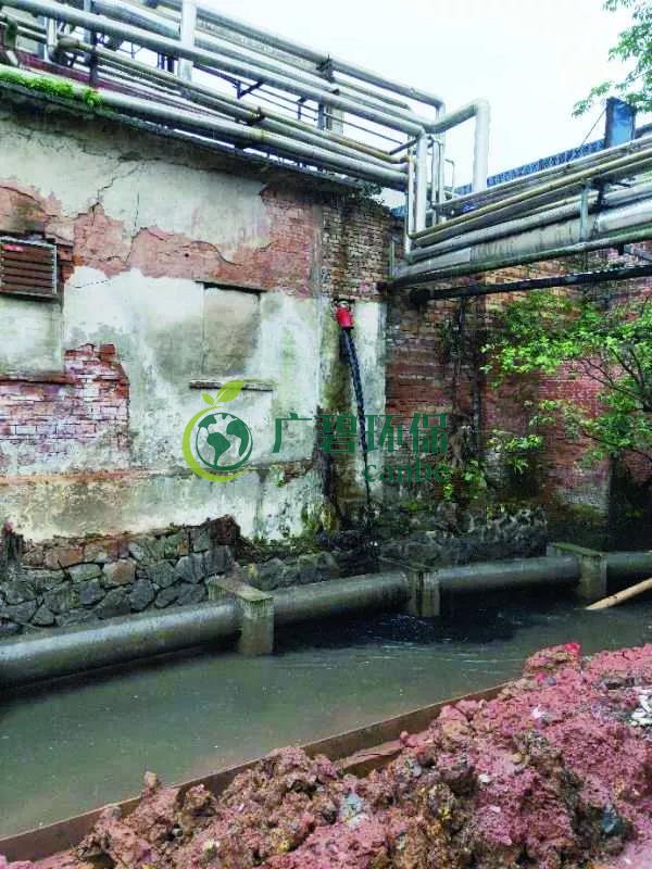 廣州海珠有污水直排河涌，3名涉案人員被行政拘留(圖1)