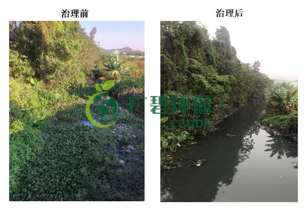 廣碧環(huán)保金陡涌河涌黑臭水體 治理服務(wù)項(xiàng)目順利通過(guò)驗(yàn)收(圖7) 廣碧環(huán)保金陡涌河涌黑臭水體 治理服務(wù)項(xiàng)目順利通過(guò)驗(yàn)收(圖7)