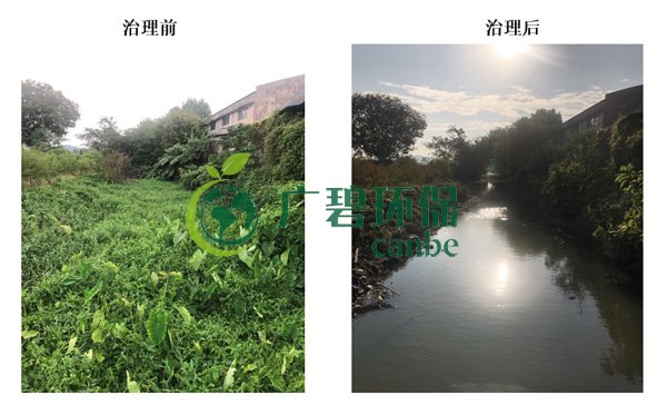 廣碧環(huán)保金陡涌河涌黑臭水體 治理服務(wù)項(xiàng)目順利通過(guò)驗(yàn)收(圖8) 廣碧環(huán)保金陡涌河涌黑臭水體 治理服務(wù)項(xiàng)目順利通過(guò)驗(yàn)收(圖8)