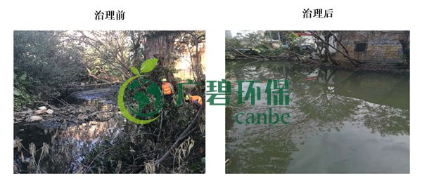 廣碧環(huán)保金陡涌河涌黑臭水體 治理服務(wù)項(xiàng)目順利通過(guò)驗(yàn)收(圖3) 廣碧環(huán)保金陡涌河涌黑臭水體 治理服務(wù)項(xiàng)目順利通過(guò)驗(yàn)收(圖3)