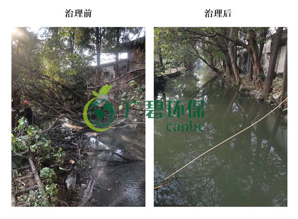 廣碧環(huán)保金陡涌河涌黑臭水體 治理服務(wù)項(xiàng)目順利通過(guò)驗(yàn)收(圖4) 廣碧環(huán)保金陡涌河涌黑臭水體 治理服務(wù)項(xiàng)目順利通過(guò)驗(yàn)收(圖4)