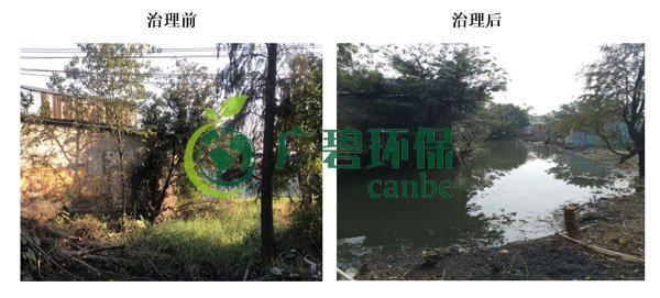 廣碧環(huán)保金陡涌河涌黑臭水體 治理服務(wù)項(xiàng)目順利通過(guò)驗(yàn)收(圖5) 廣碧環(huán)保金陡涌河涌黑臭水體 治理服務(wù)項(xiàng)目順利通過(guò)驗(yàn)收(圖5)