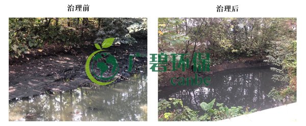 廣碧環(huán)保金陡涌河涌黑臭水體 治理服務(wù)項(xiàng)目順利通過(guò)驗(yàn)收(圖6) 廣碧環(huán)保金陡涌河涌黑臭水體 治理服務(wù)項(xiàng)目順利通過(guò)驗(yàn)收(圖6)